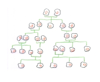 https://www.daniel-lumbreras.com/files/gimgs/th-85_árbol genealógico.jpg